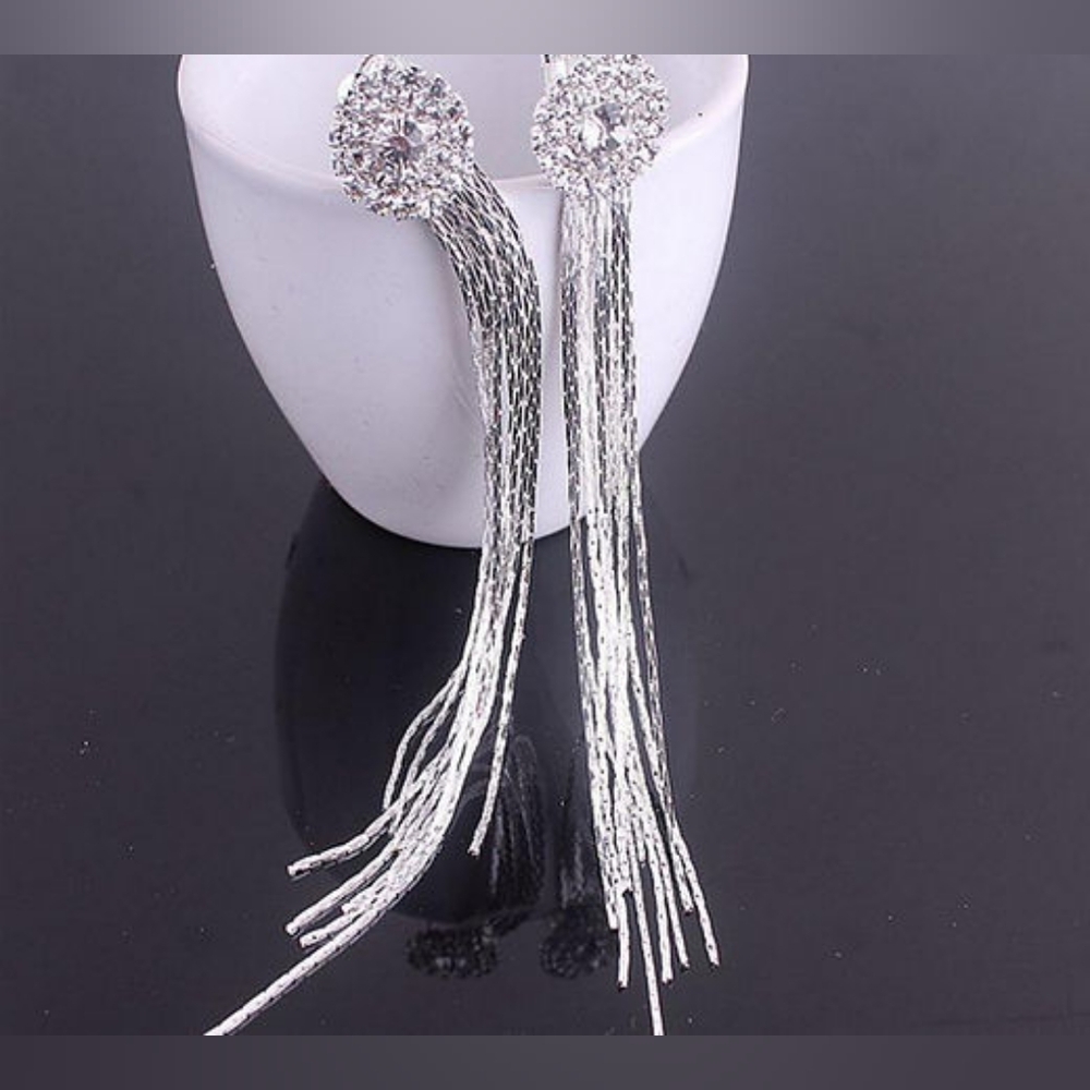 Long Dangling Tassel Earrings